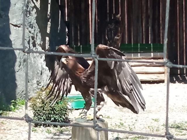 IMG_20230425_115008 (Copy)