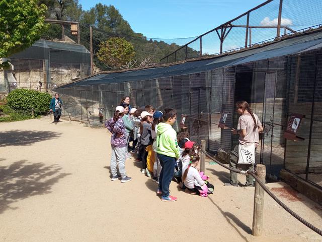 IMG_20230425_115238 (Copy)