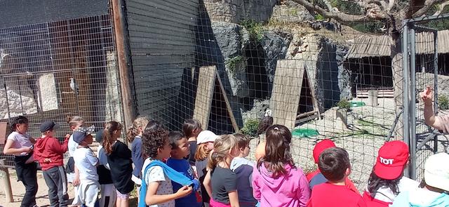 IMG_20230425_115810 (Copy)