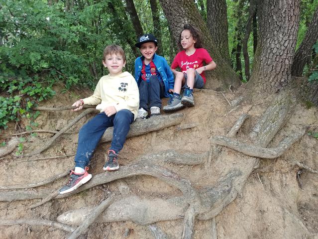 ELS CAVALLETS DE MAR