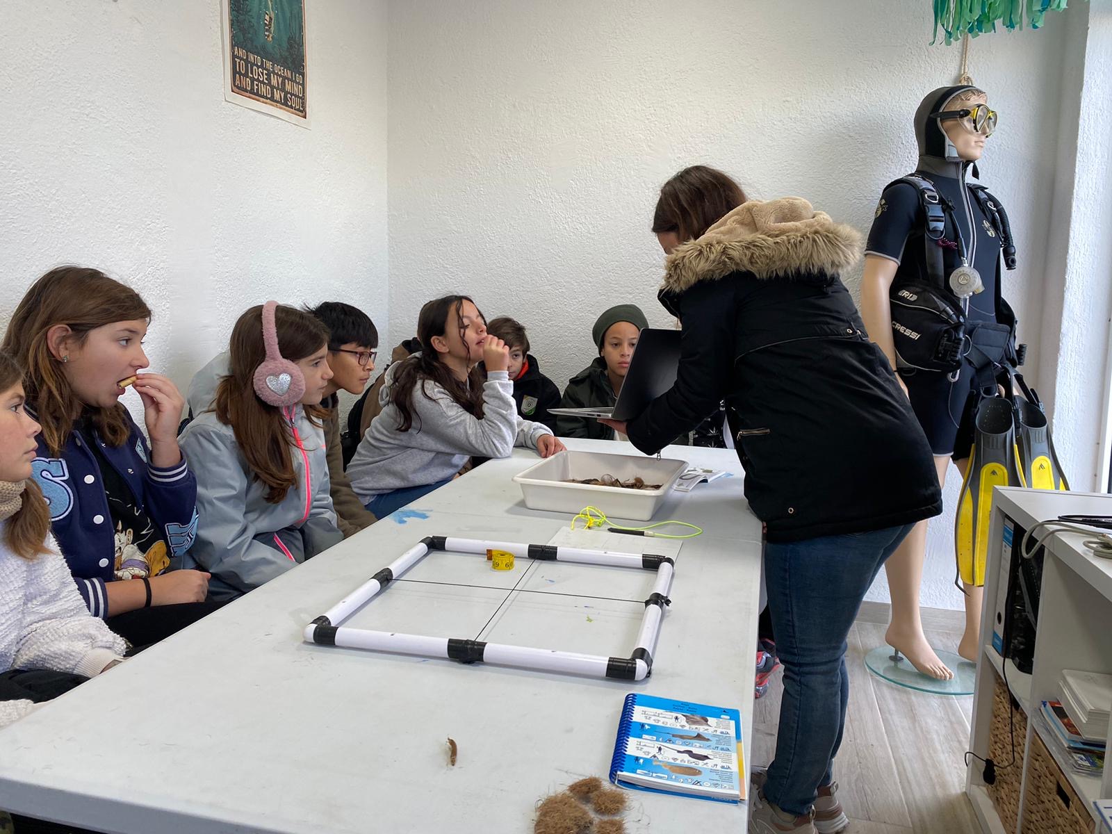 43e6002b-1982-4080-806d-a61551b33826