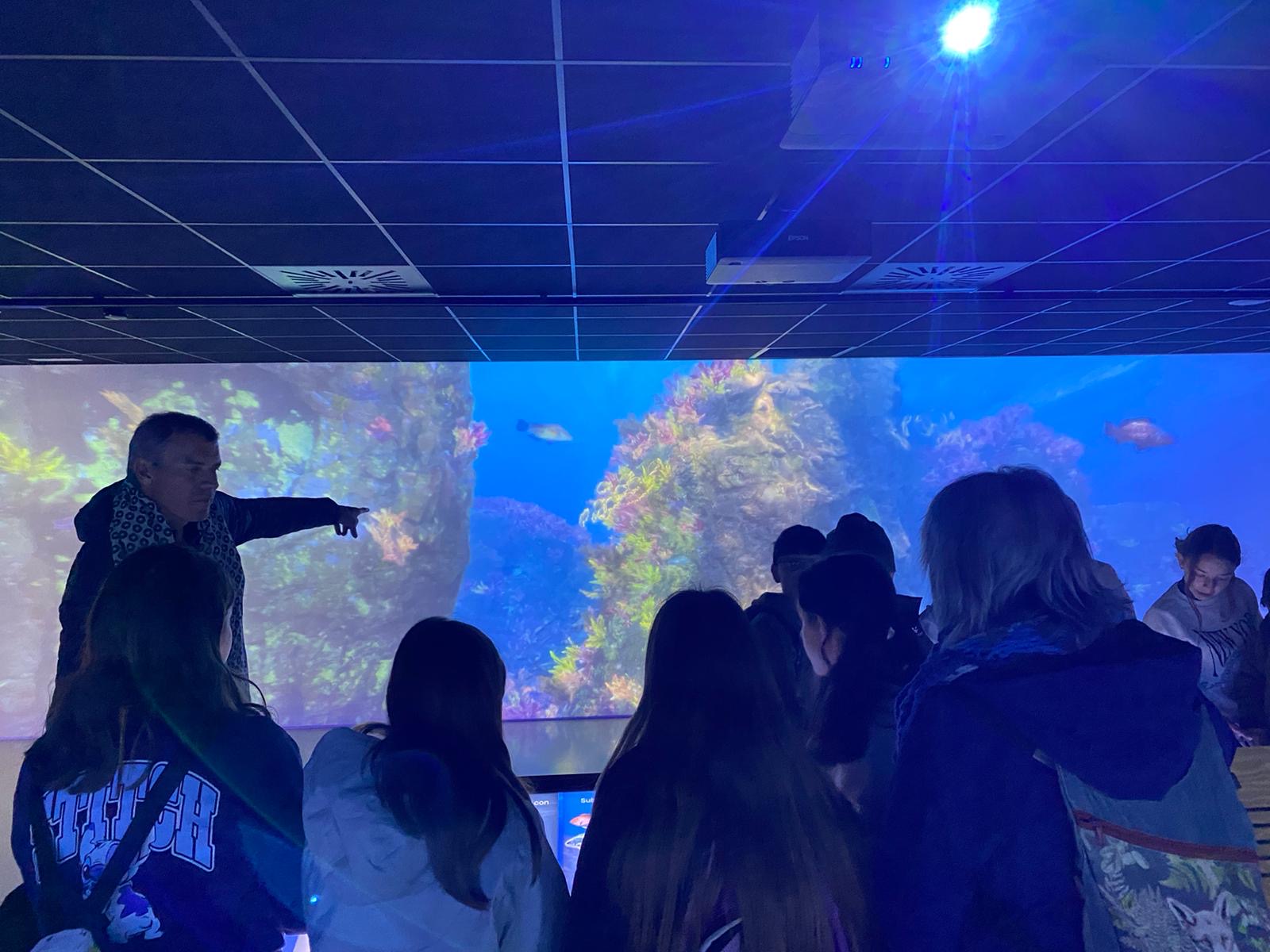 e9477ee6-33be-4cd4-97d1-73ec4b4d982b