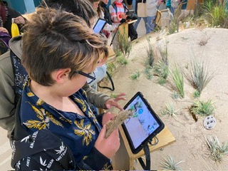 f13a0cca-7095-4223-87a5-28cb5e748386