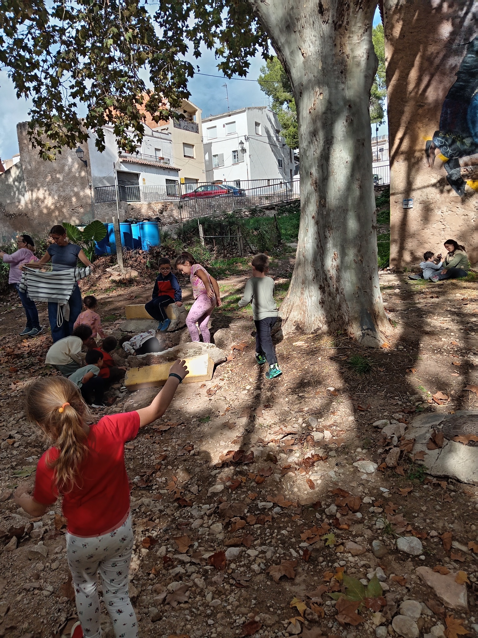 IMG_20251020_155329 (1)