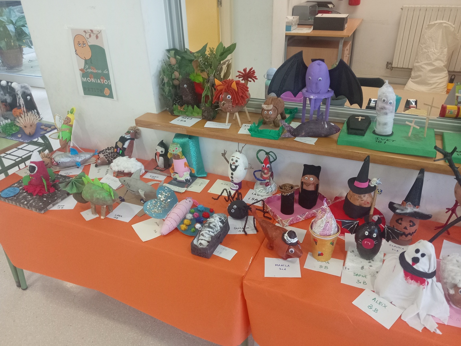 IMG_20251030_145340 (1)