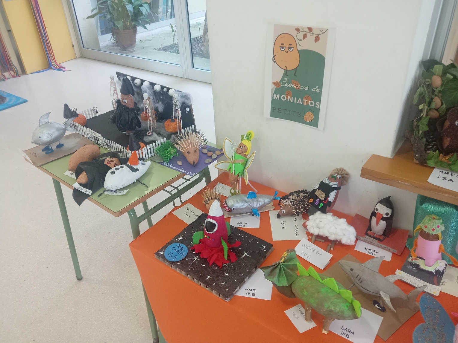 IMG_20251030_145342 (1)