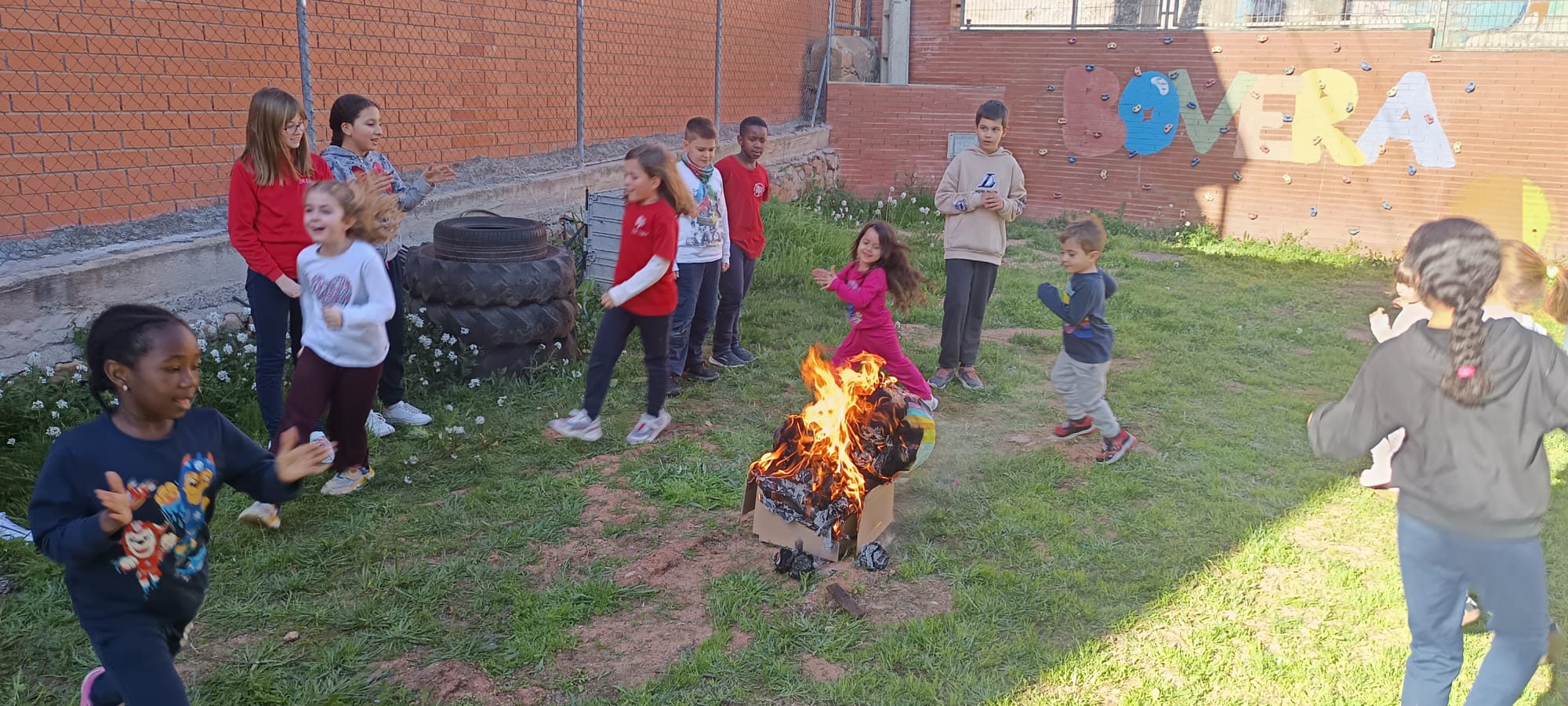 WhatsApp Image 2026-02-18 at 19.40.53 (1)