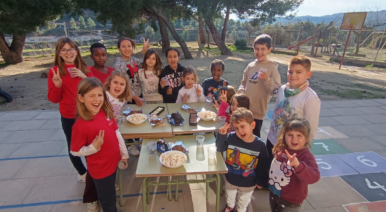 WhatsApp Image 2026-02-18 at 19.40.53