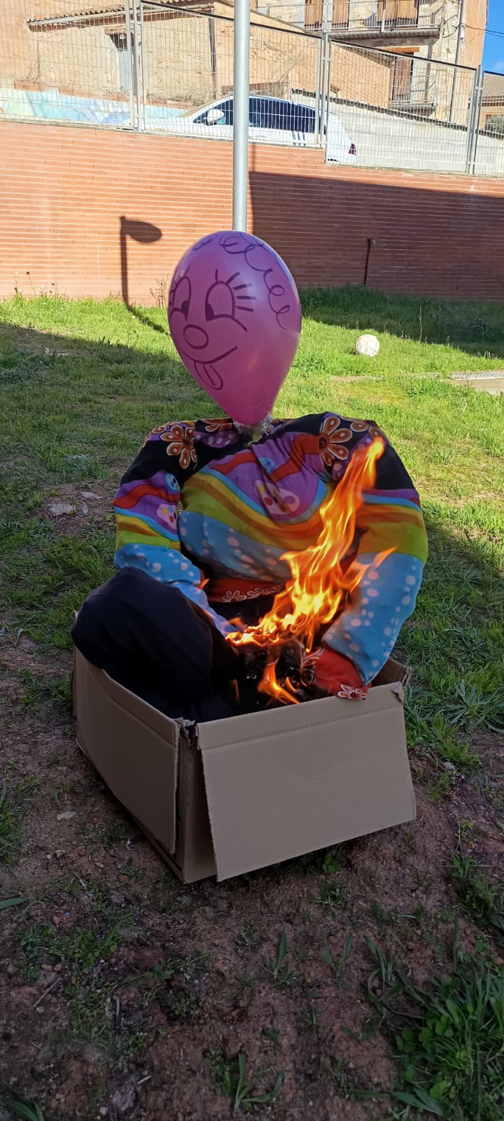 WhatsApp Image 2026-02-18 at 19.40.54