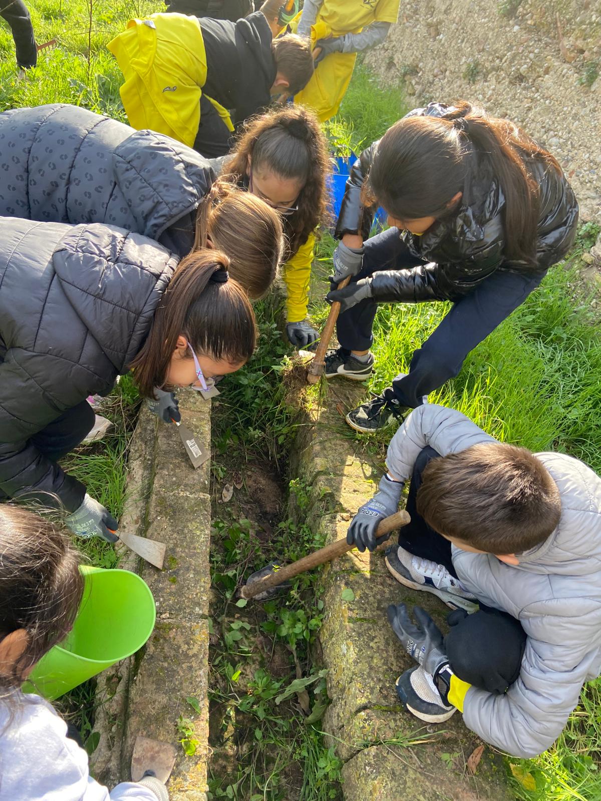 WhatsApp Image 2024-12-05 at 13.05.49 (2)