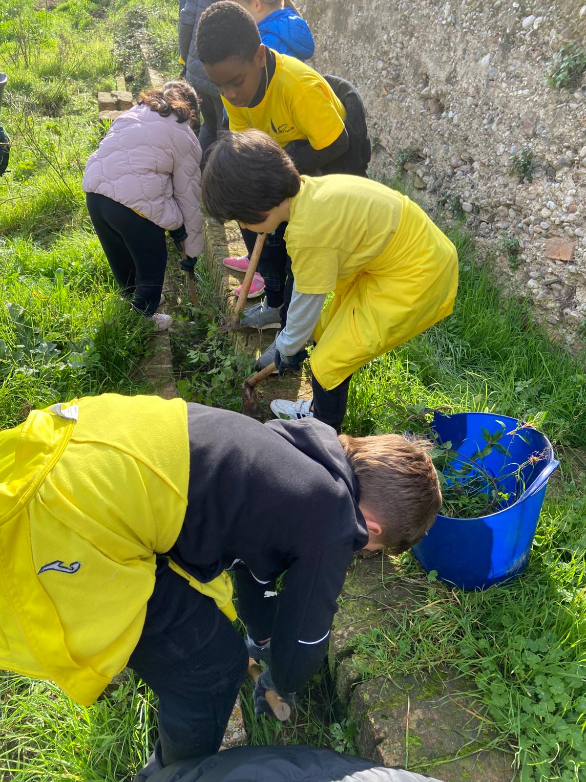 WhatsApp Image 2024-12-05 at 13.05.49 (3)