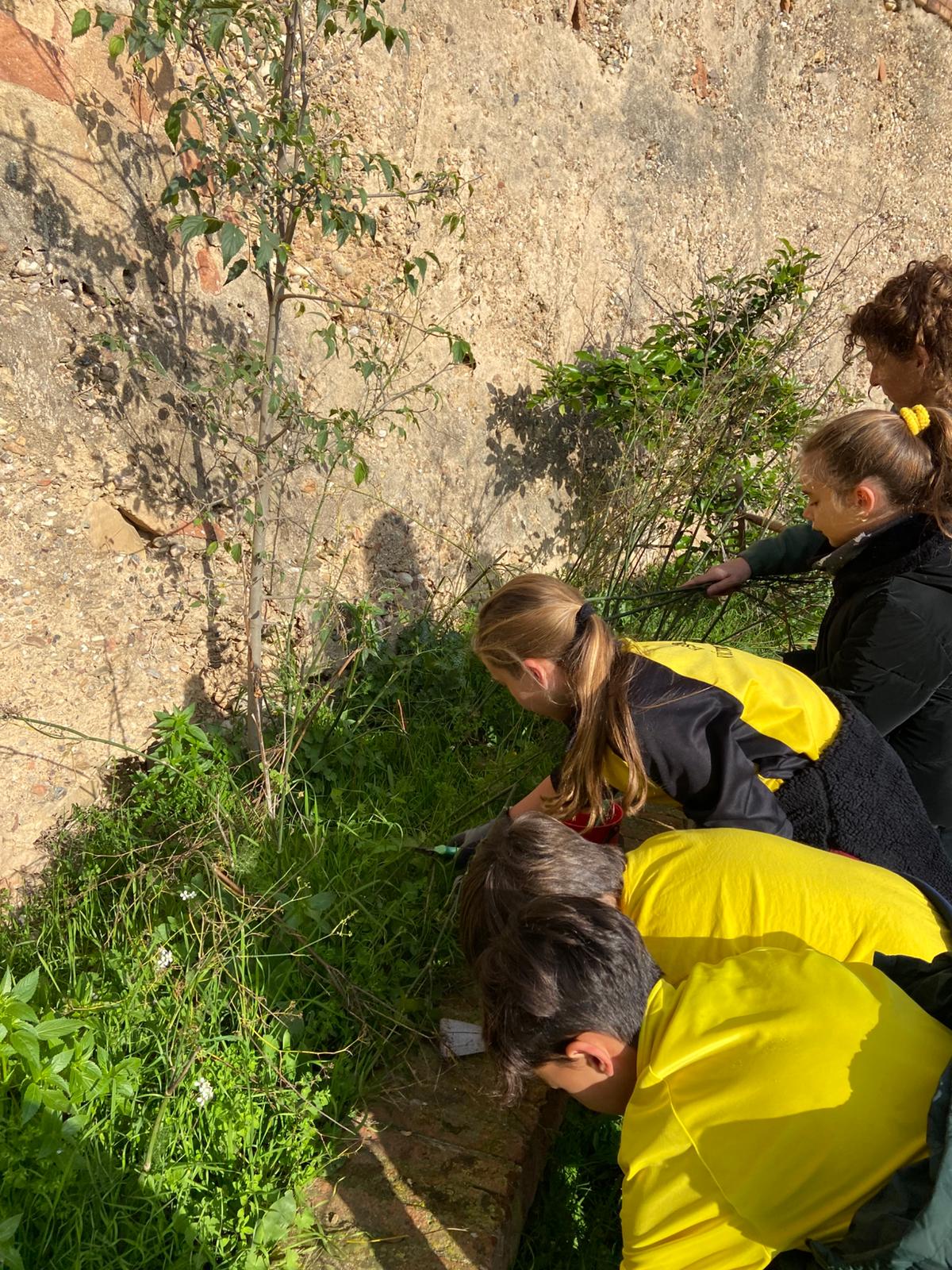 WhatsApp Image 2024-12-05 at 13.05.49 (4)