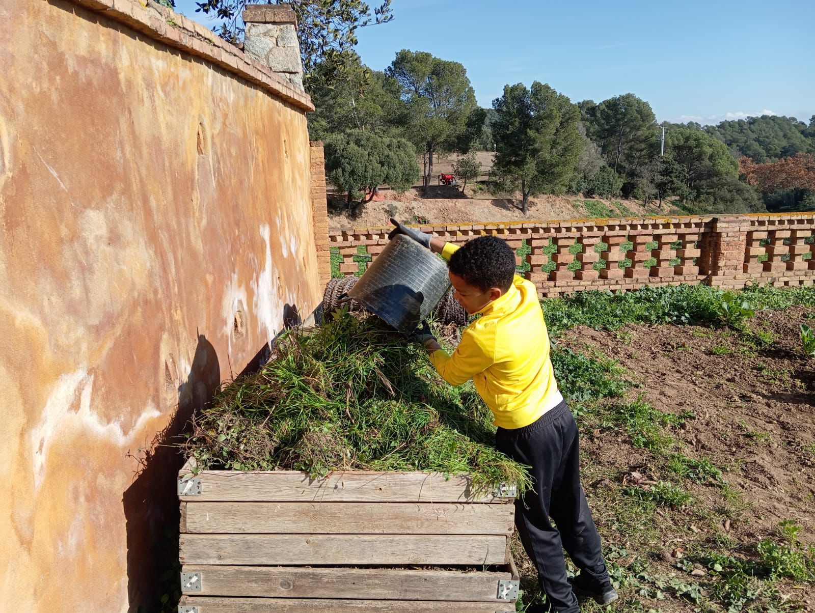 WhatsApp Image 2024-12-05 at 13.05.50 (5)