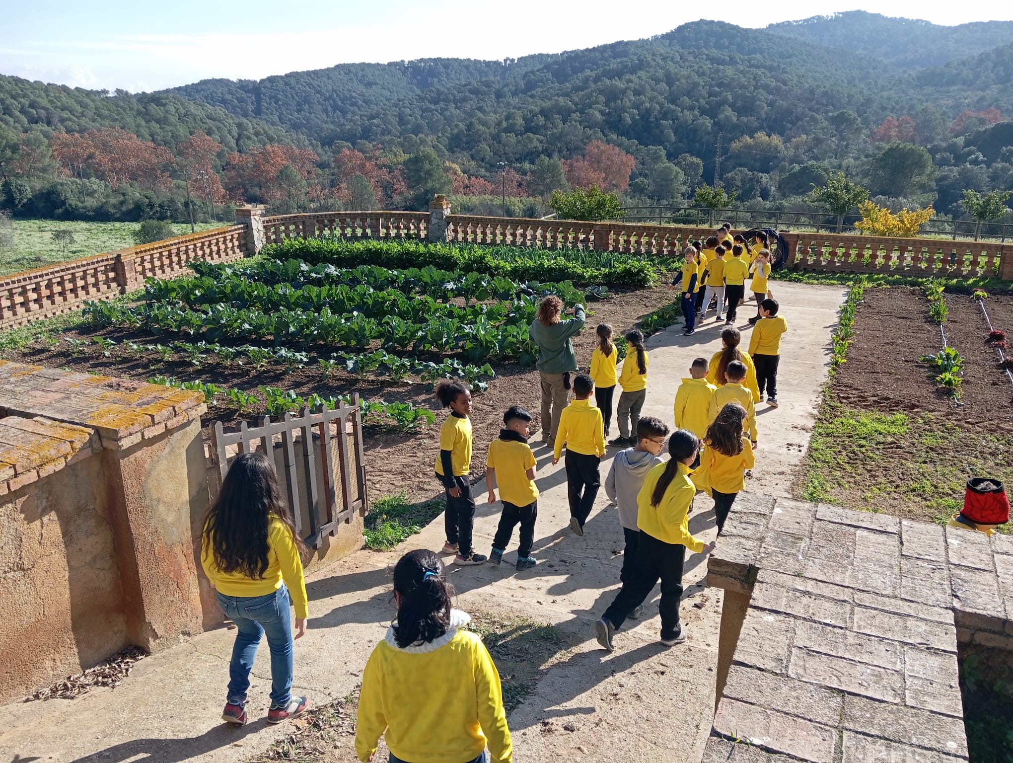 WhatsApp Image 2024-12-05 at 13.06.12 (1)