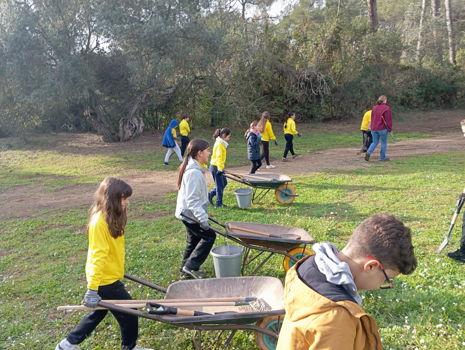 WhatsApp Image 2024-12-05 at 13.06.12