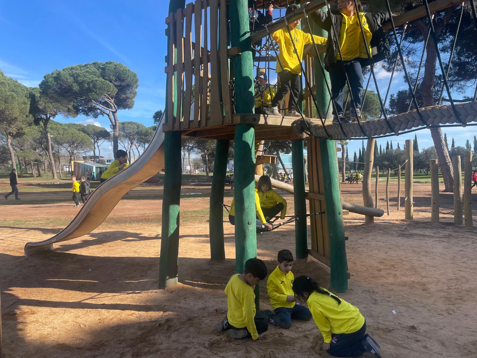 WhatsApp Image 2025-02-26 at 13.17.53 (3)