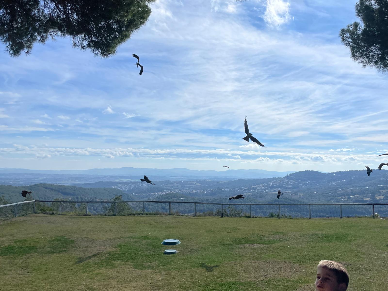 WhatsApp Image 2025-02-26 at 13.17.53 (9)