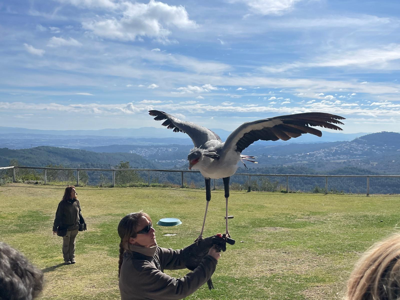 WhatsApp Image 2025-02-26 at 13.17.53