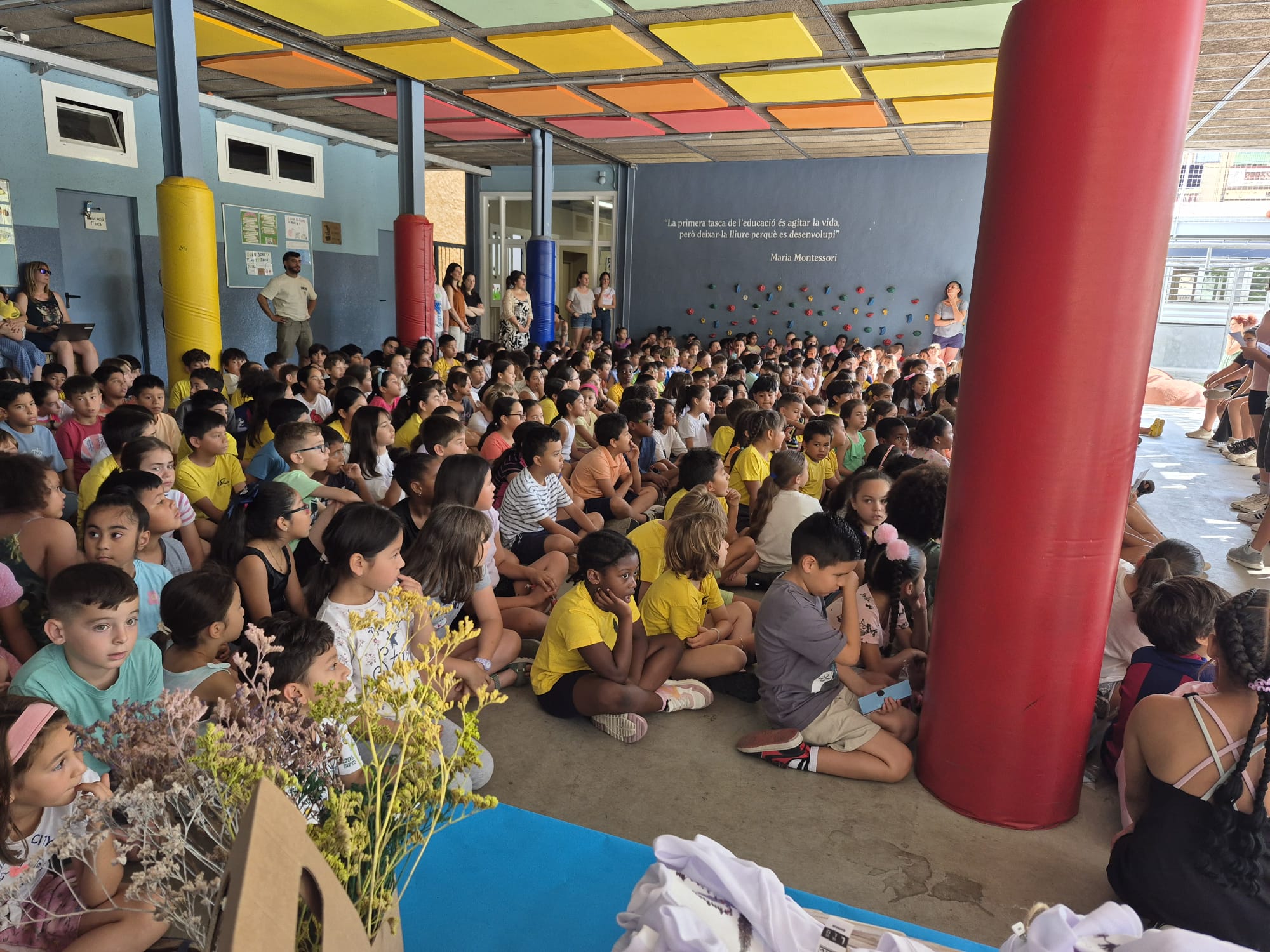 WhatsApp Image 2025-06-20 at 18.37.20