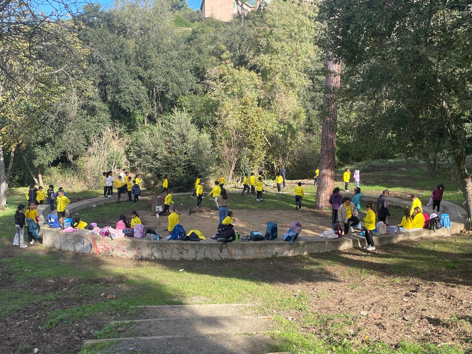 WhatsApp Image 2025-11-07 at 13.15.56