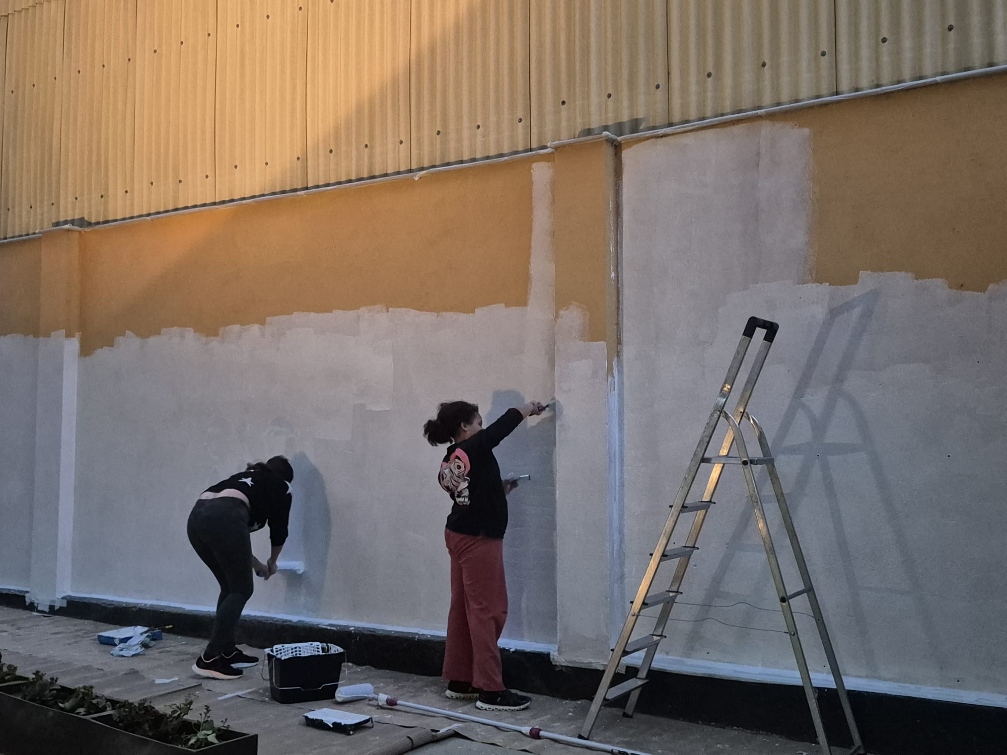 WhatsApp Image 2025-12-10 at 19.01.00