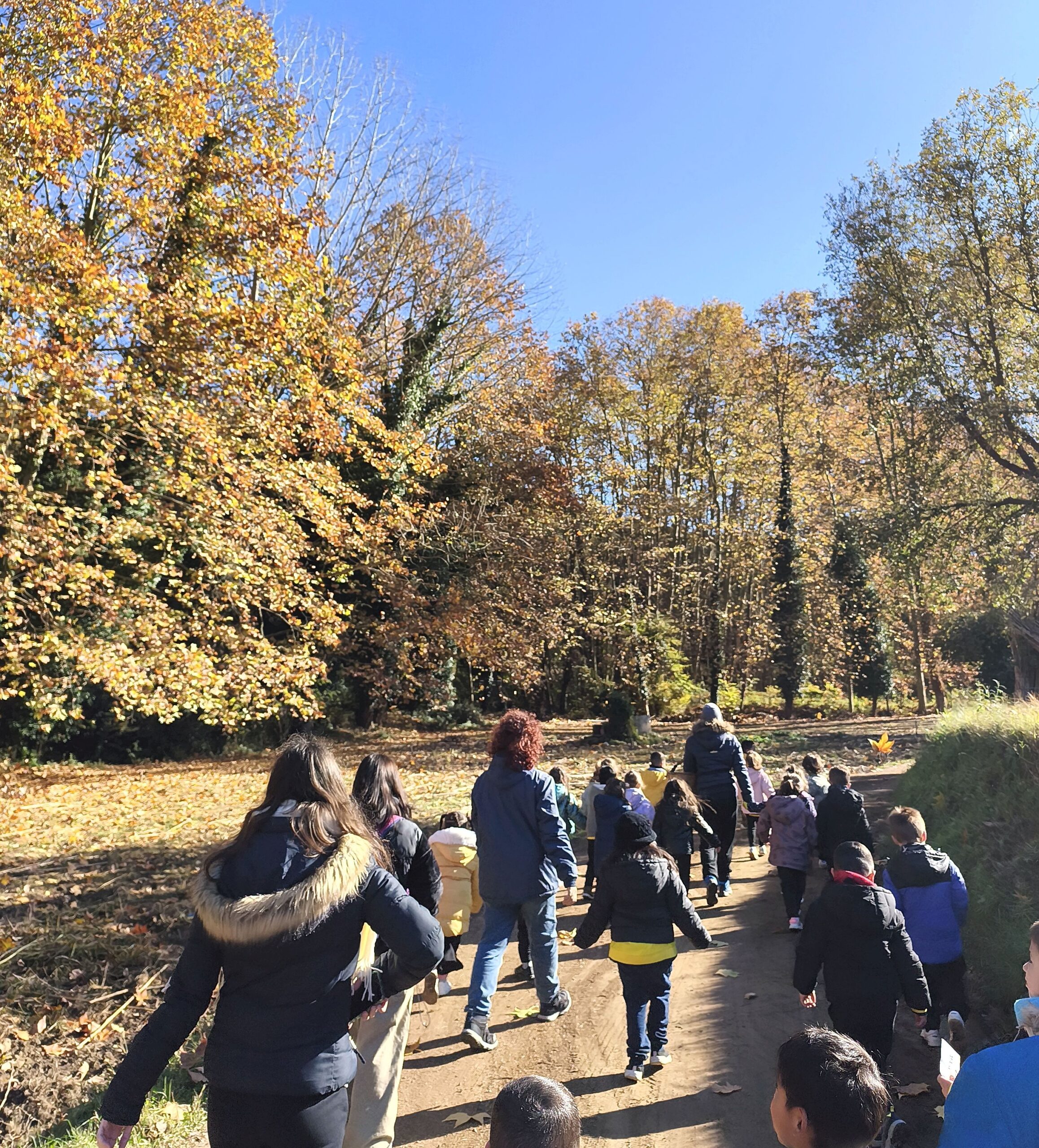 escaneig_20251122-0926-24