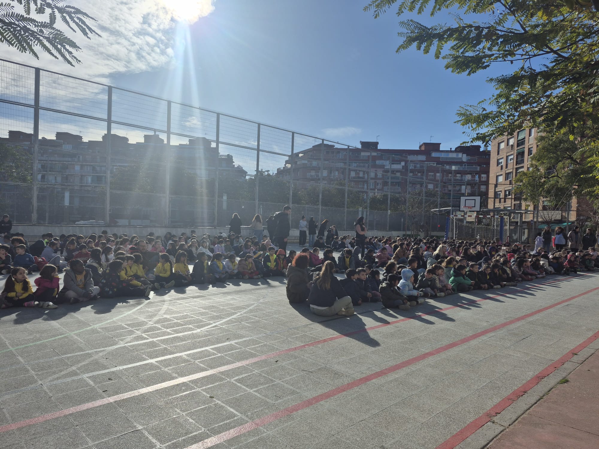 WhatsApp Image 2026-01-30 at 16.40.02