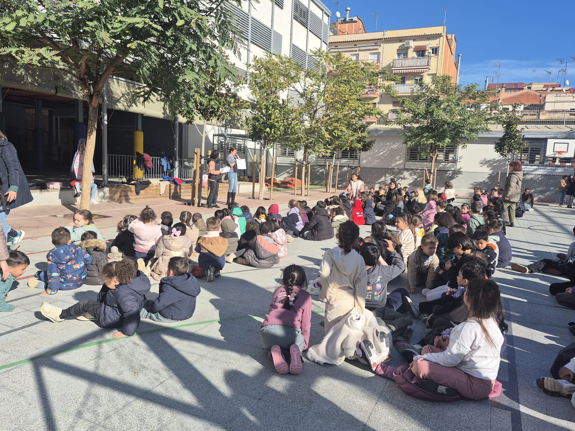 WhatsApp Image 2026-01-30 at 16.40.08