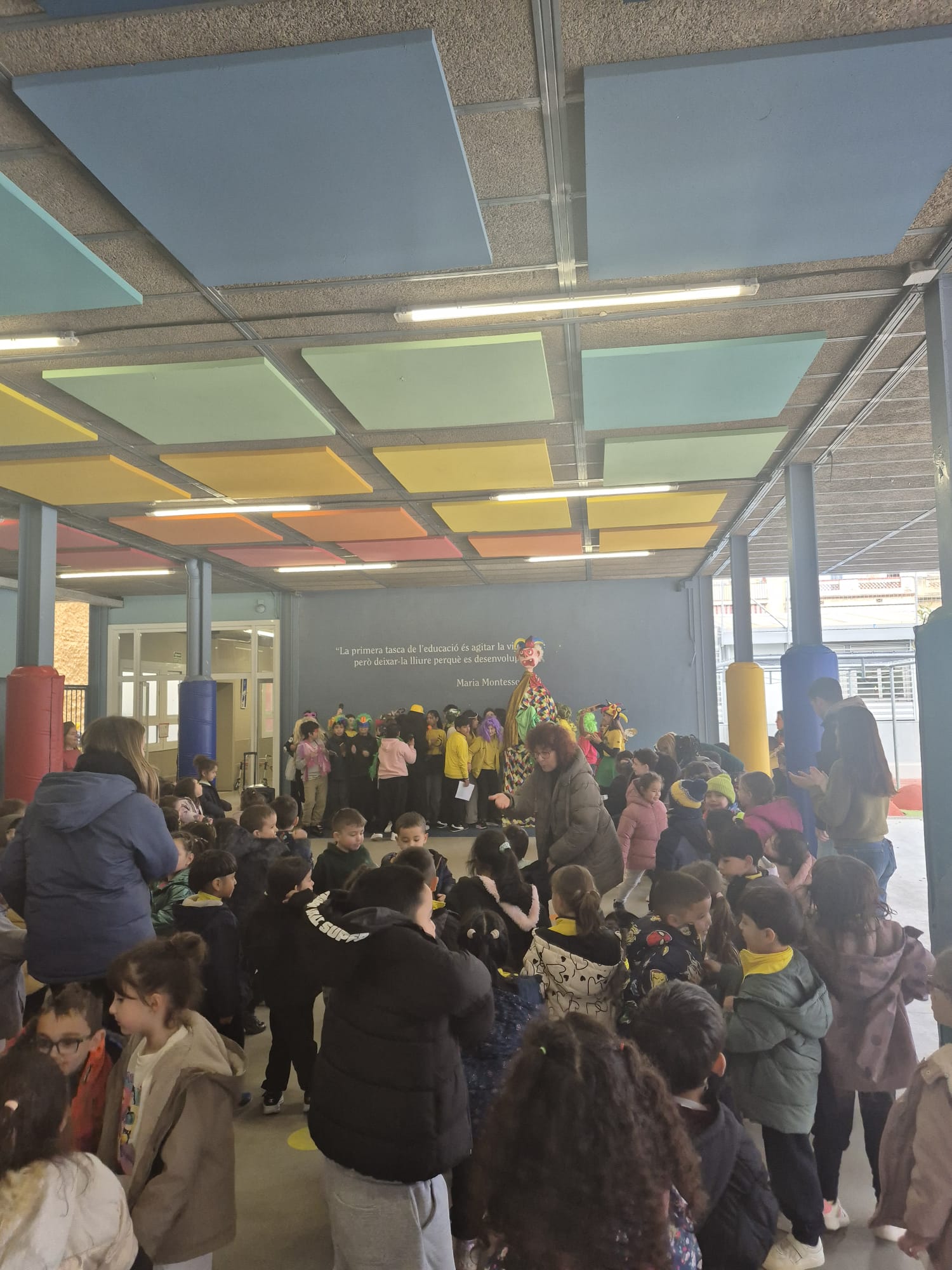 WhatsApp Image 2026-02-07 at 13.14.50