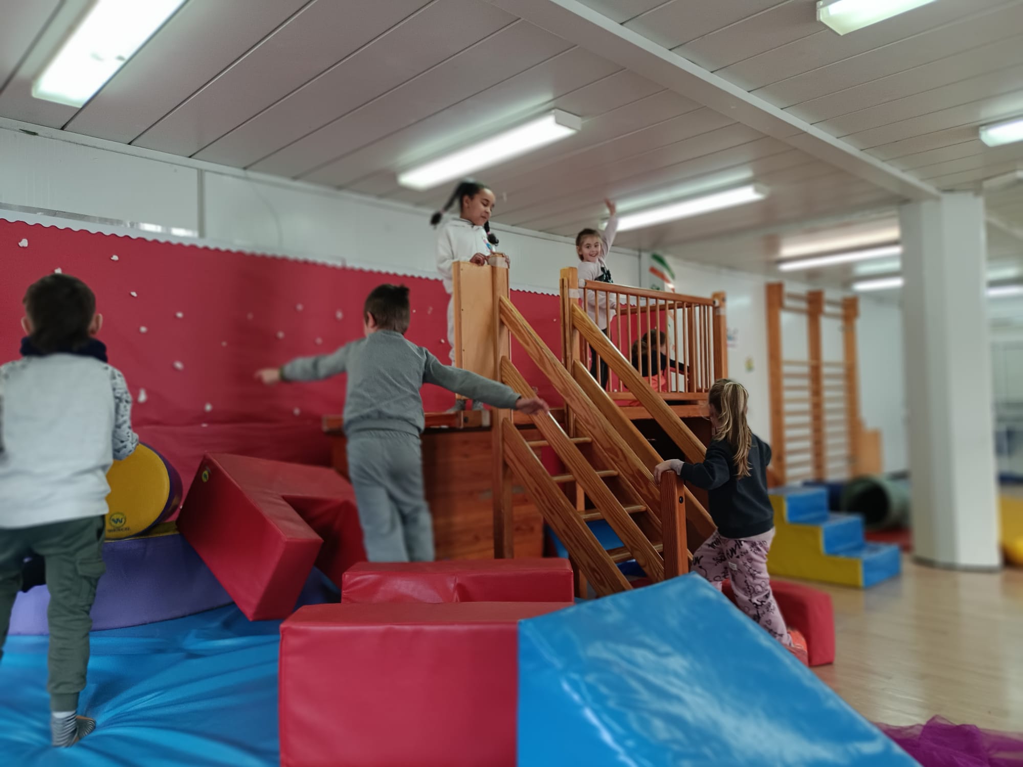 WhatsApp Image 2025-01-29 at 09.35.25