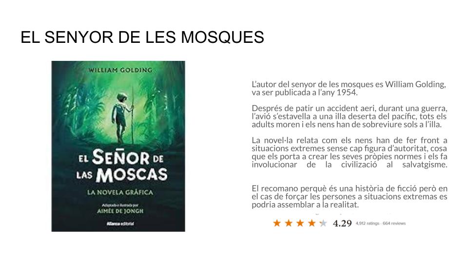 EL SENYOR DE LES MOSQUES