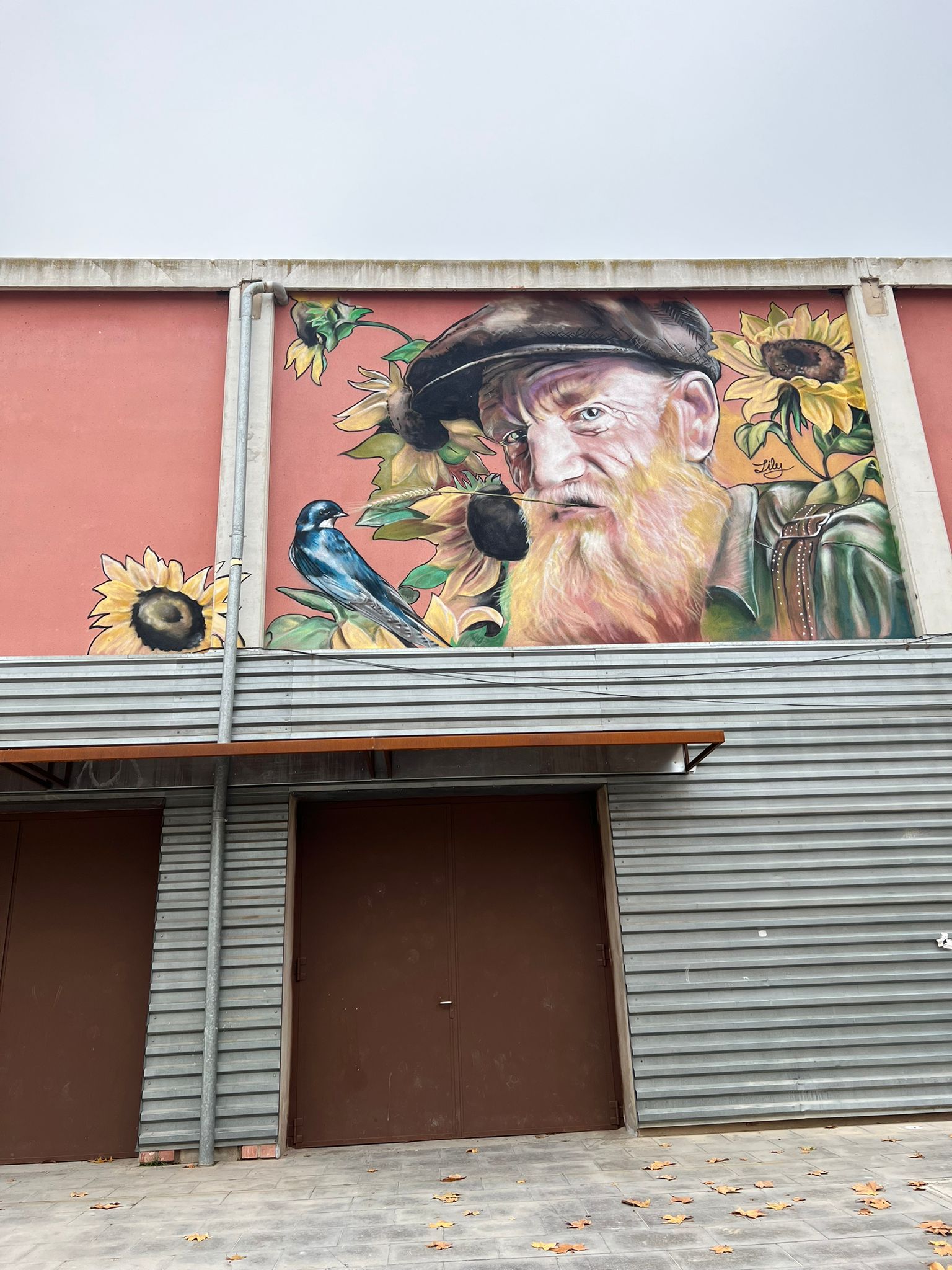 PHOTO-2022-12-16-17-28-02