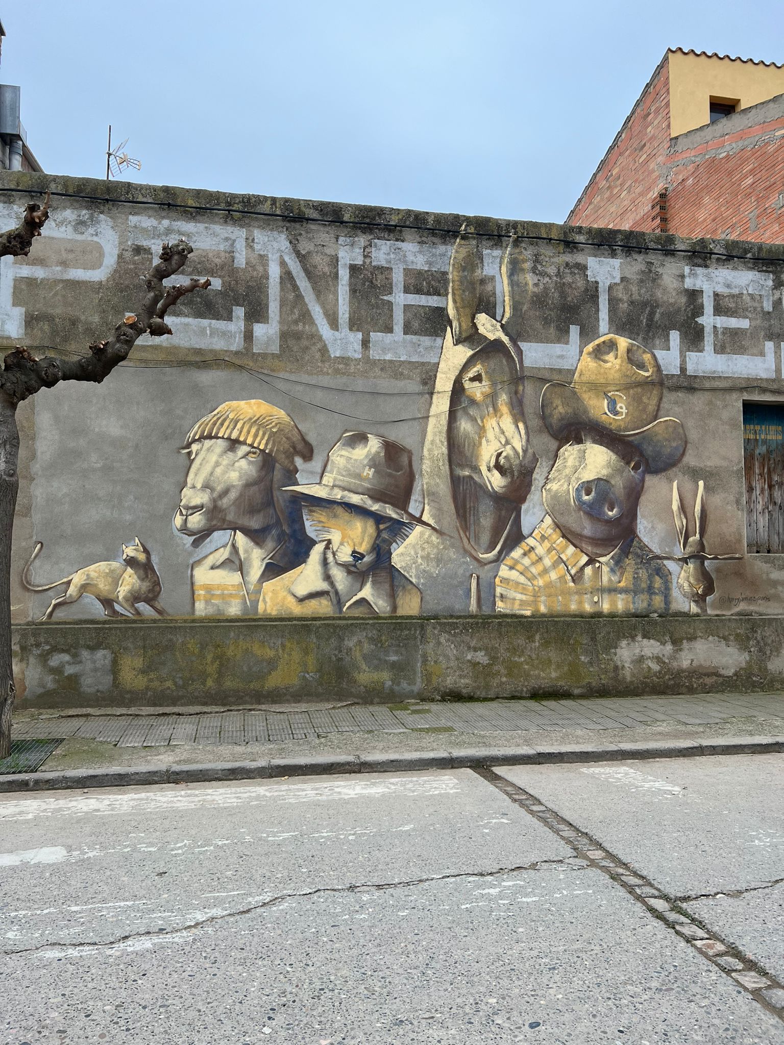 PHOTO-2022-12-16-17-28-04 2