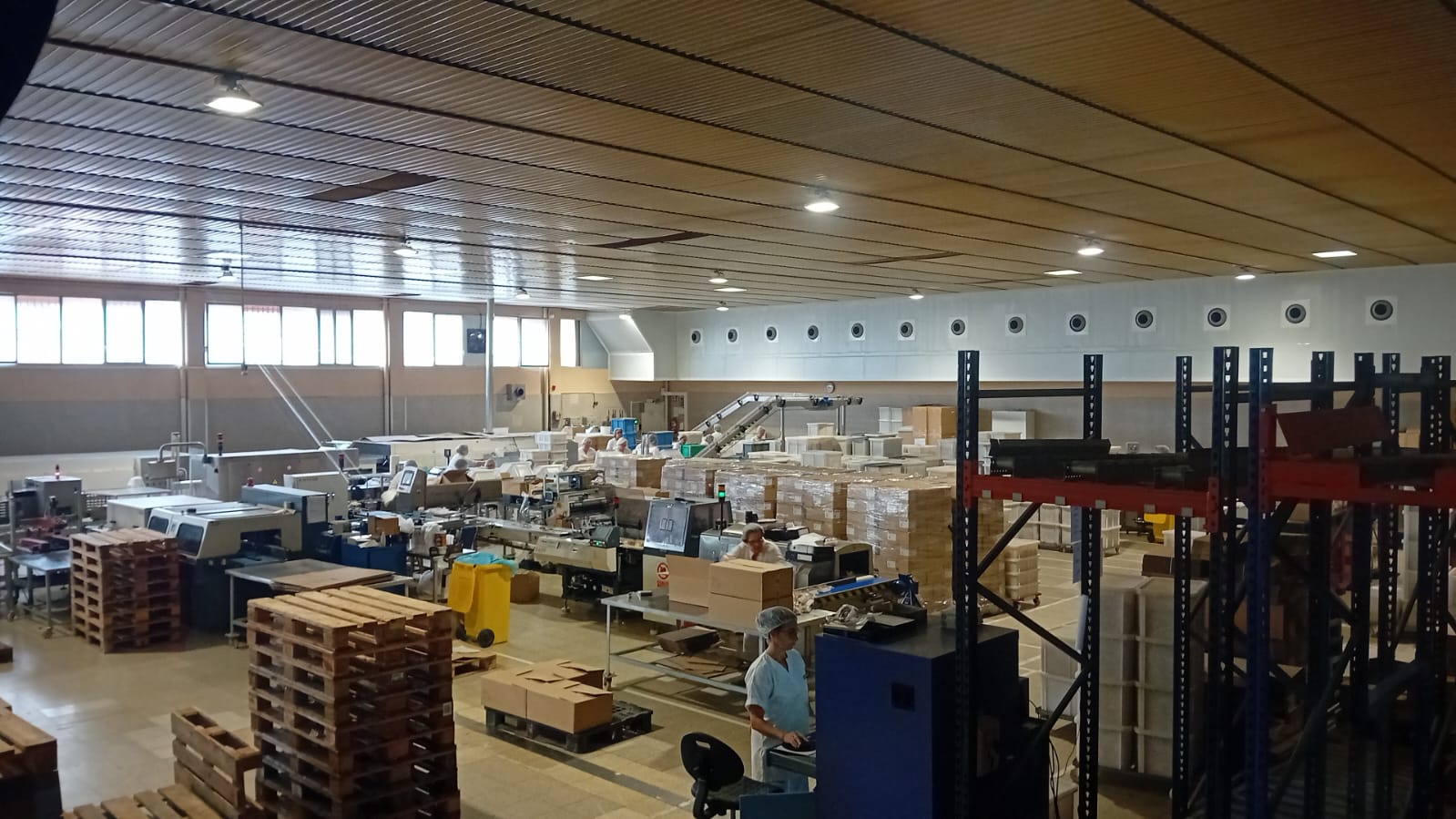 WhatsApp Image 2025-10-16 at 11.16.04