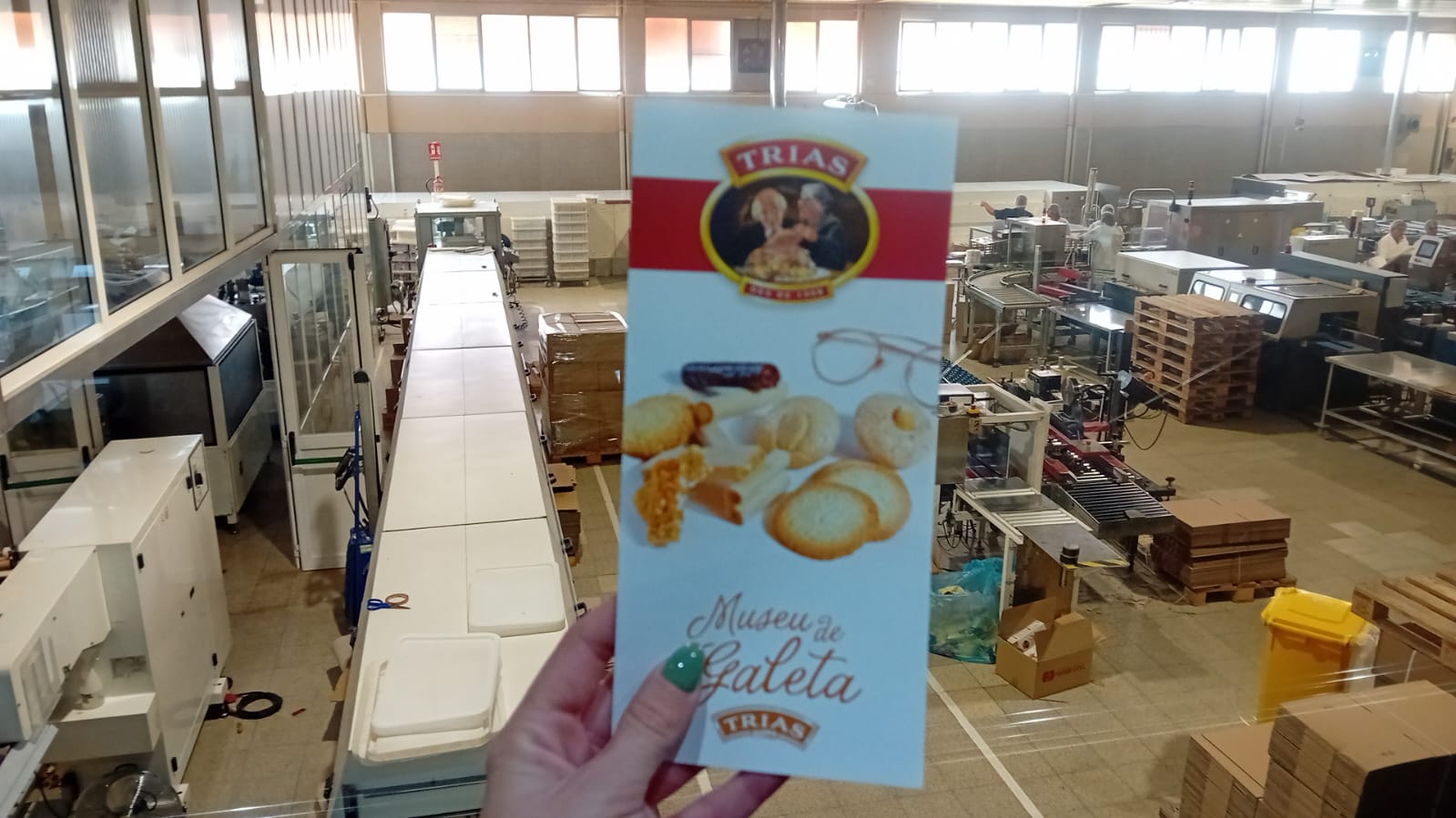 WhatsApp Image 2025-10-16 at 11.24.48