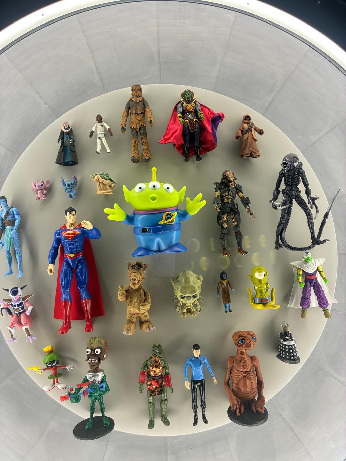 WhatsApp Image 2026-03-18 at 19.10.56