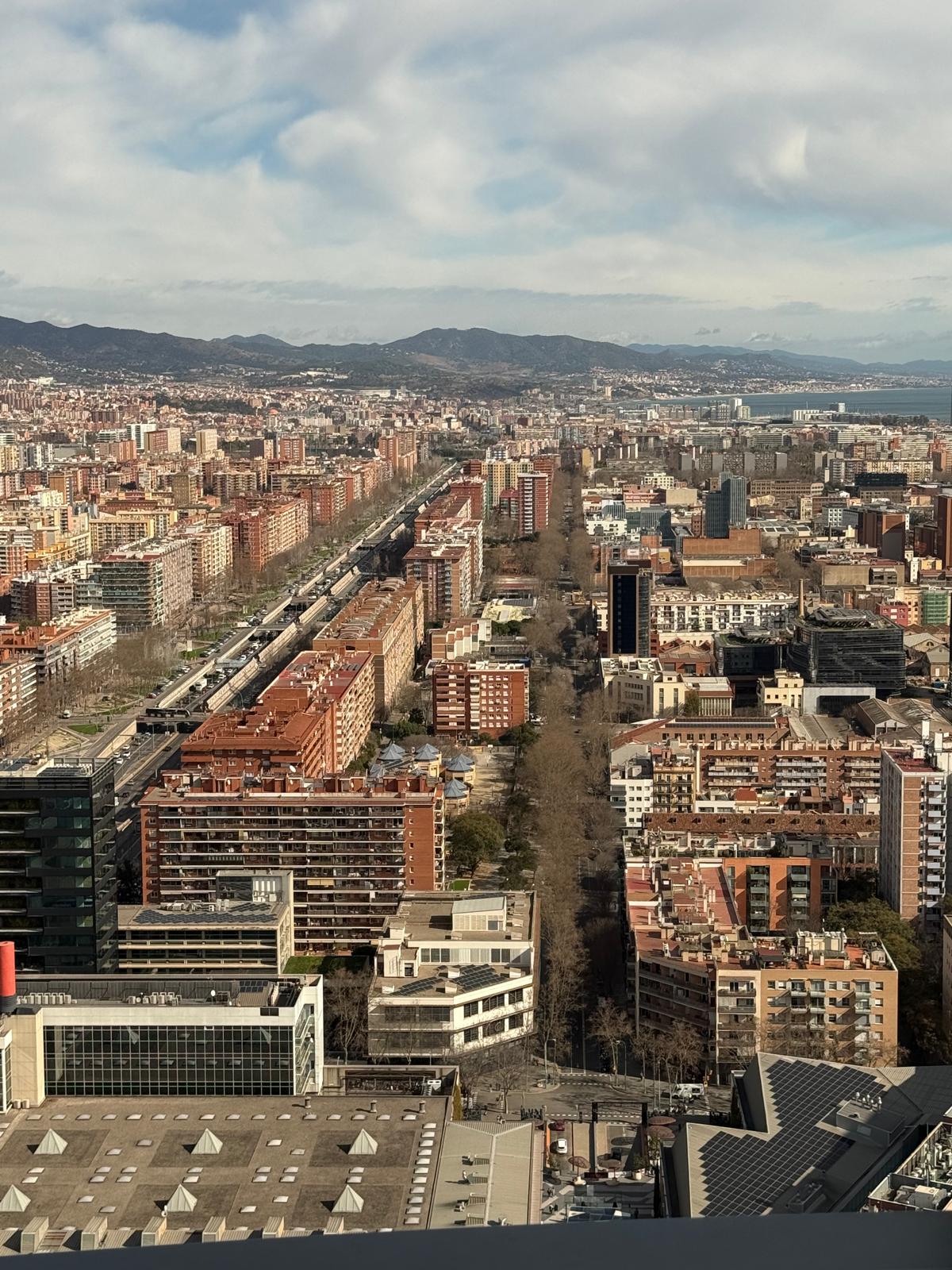 WhatsApp Image 2026-02-19 at 15.03.47 (2)