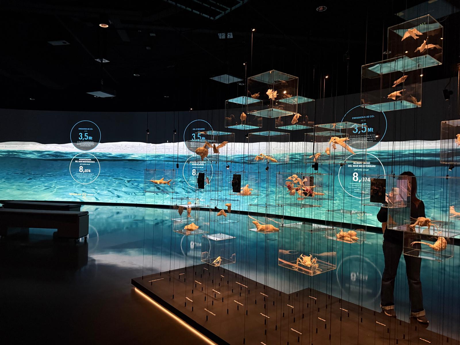 WhatsApp Image 2026-02-19 at 15.03.47 (3)