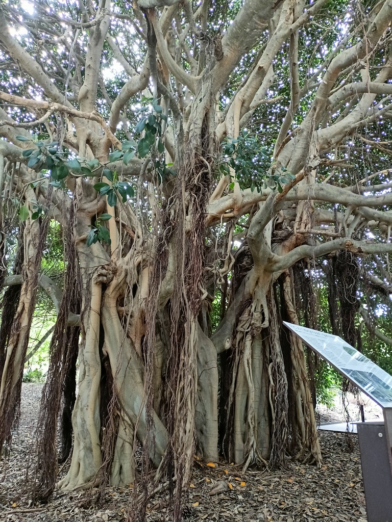 IMG20260518105159