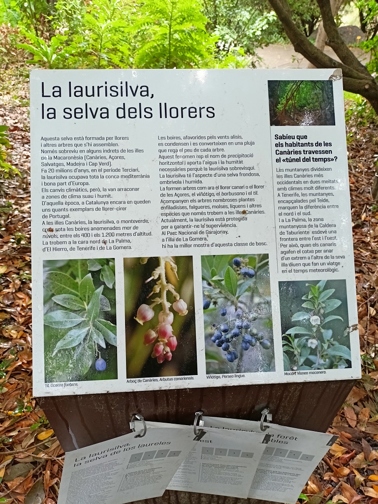 IMG20260518115640