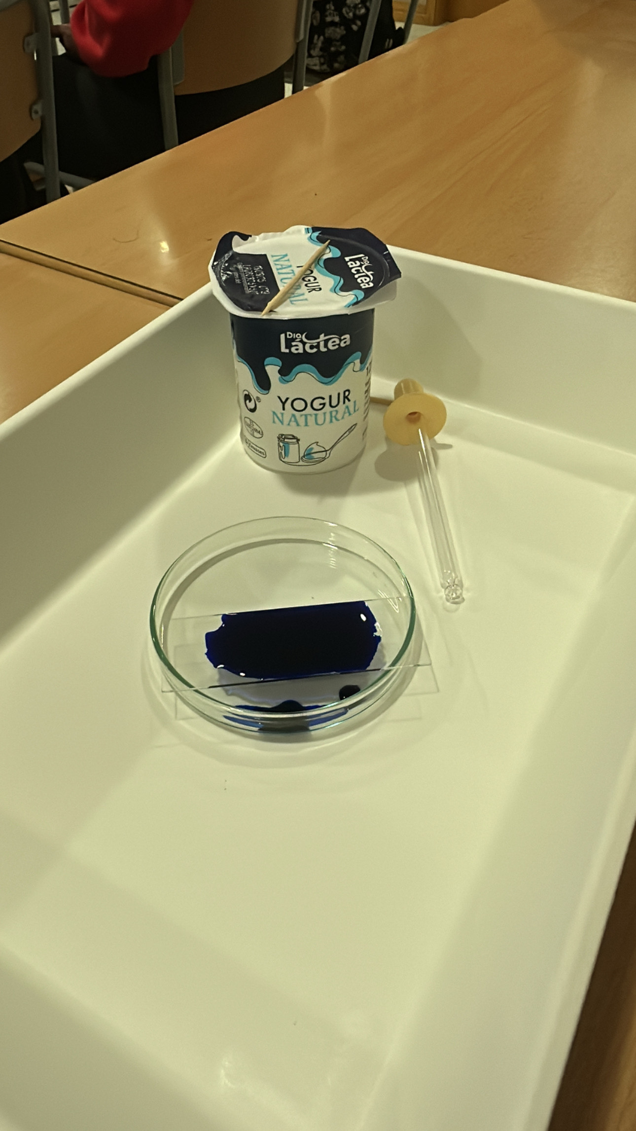 7155D194-37E5-43D4-B8F0-71E78A09CA6D