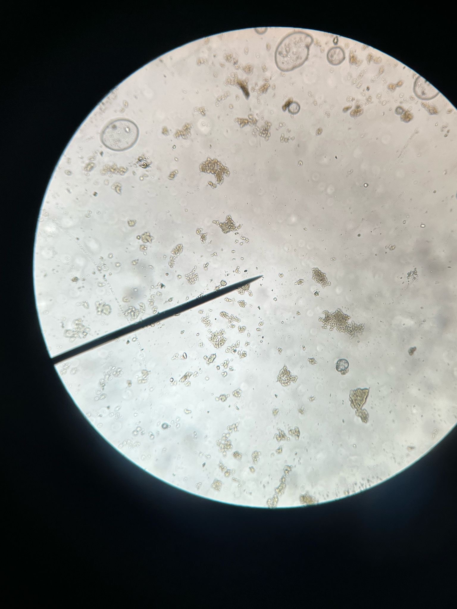 c6eb344d-7e24-459e-b662-05d3ddeab3ef