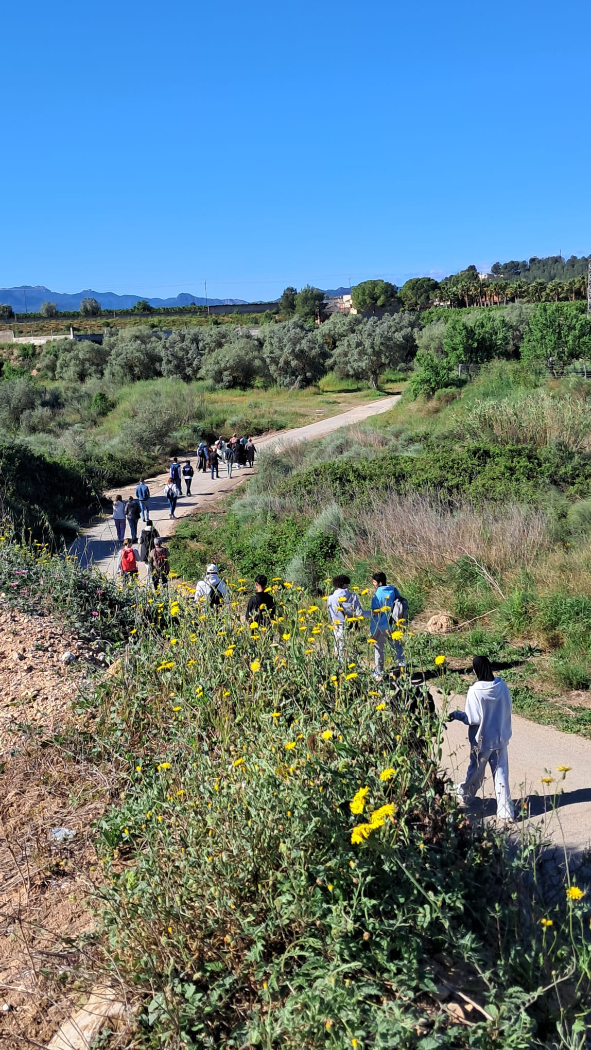 WhatsApp Image 2026-04-14 at 12.33.35