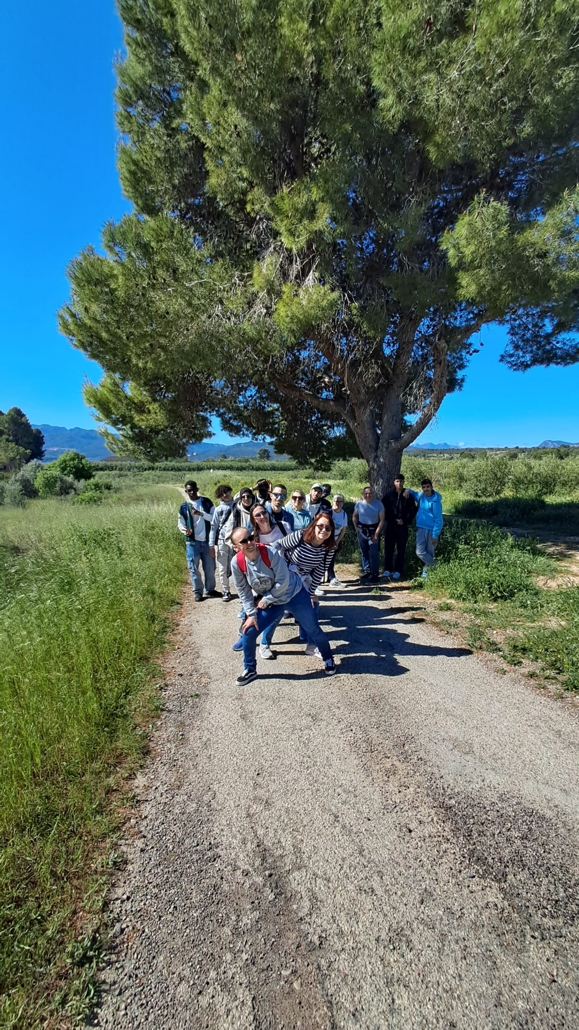 WhatsApp Image 2026-04-14 at 12.33.42