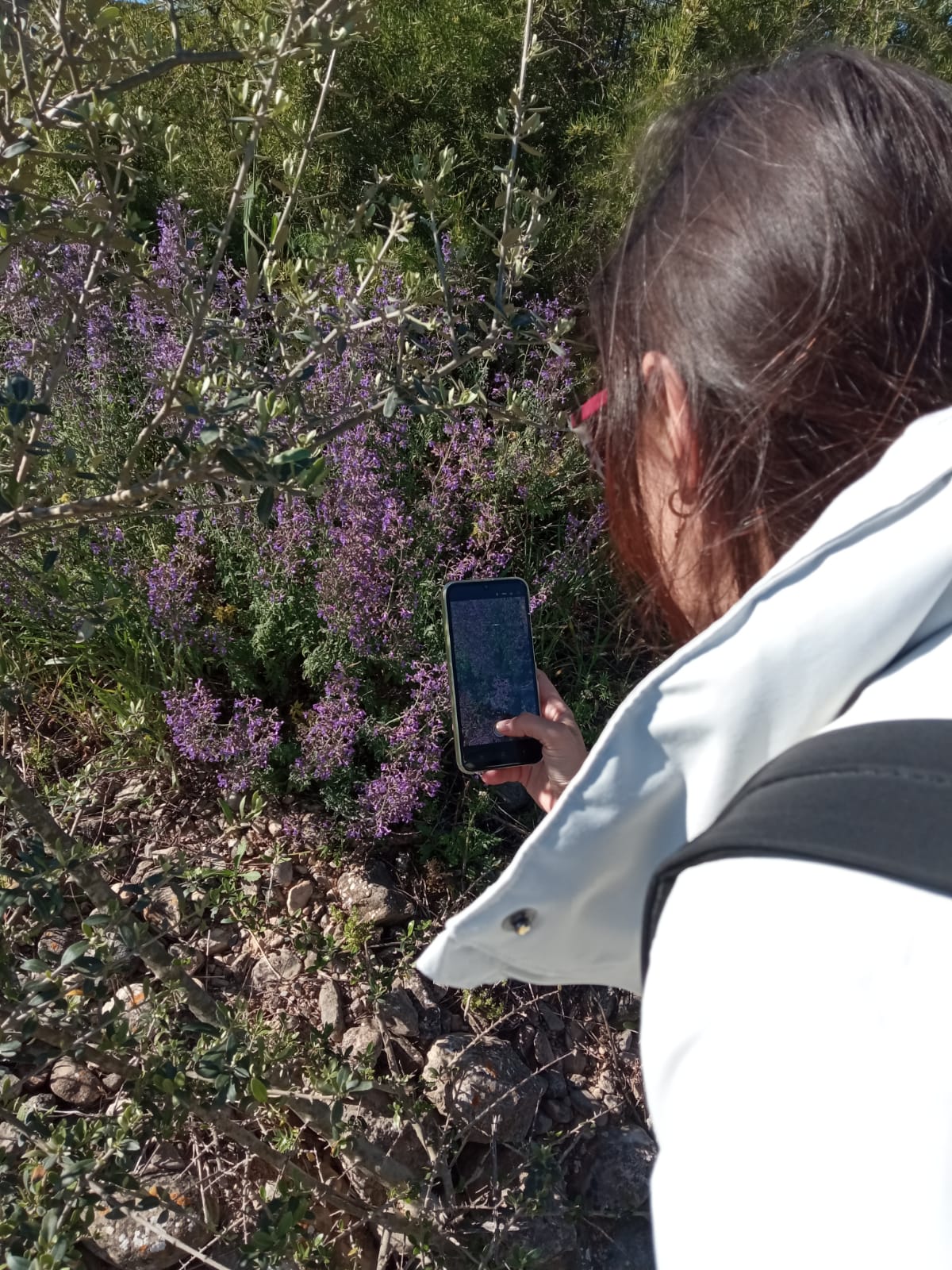 WhatsApp Image 2026-04-14 at 13.00.15 (1)