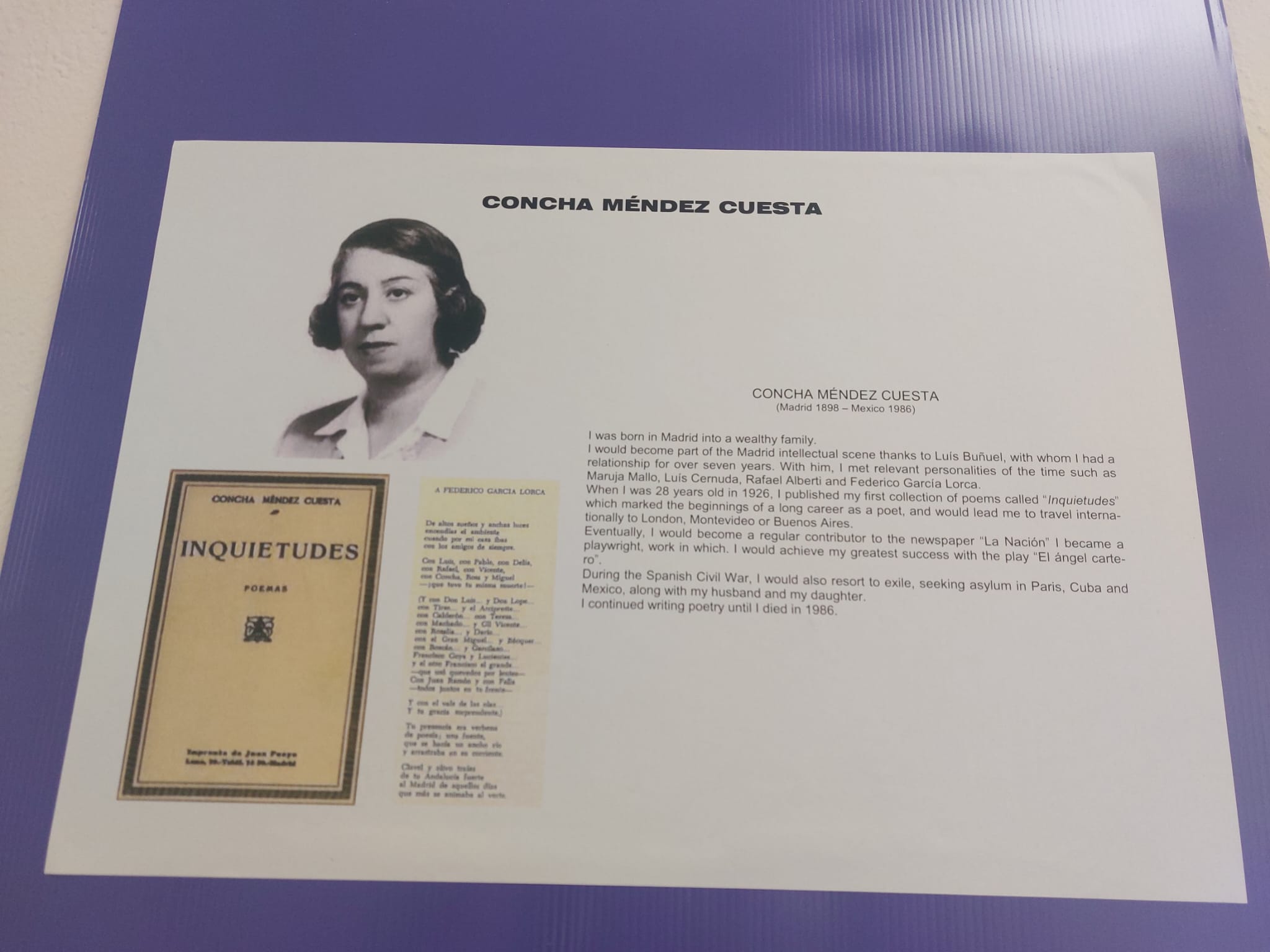 WhatsApp Image 2025-04-08 at 16.25.24