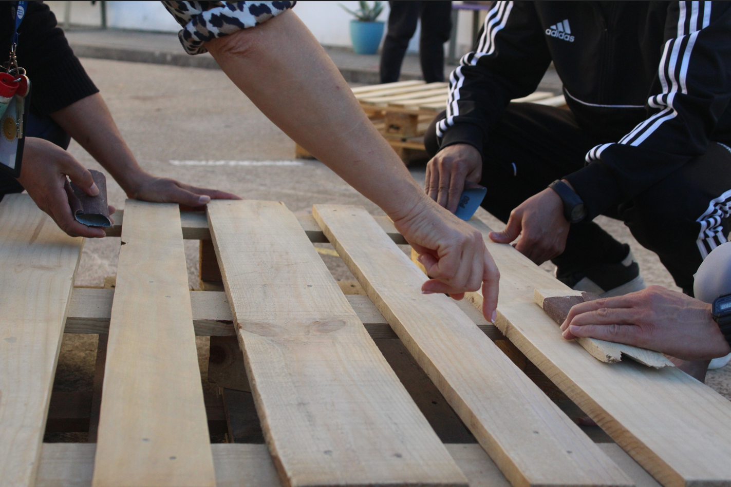 imatge_2024-11-20_141751304