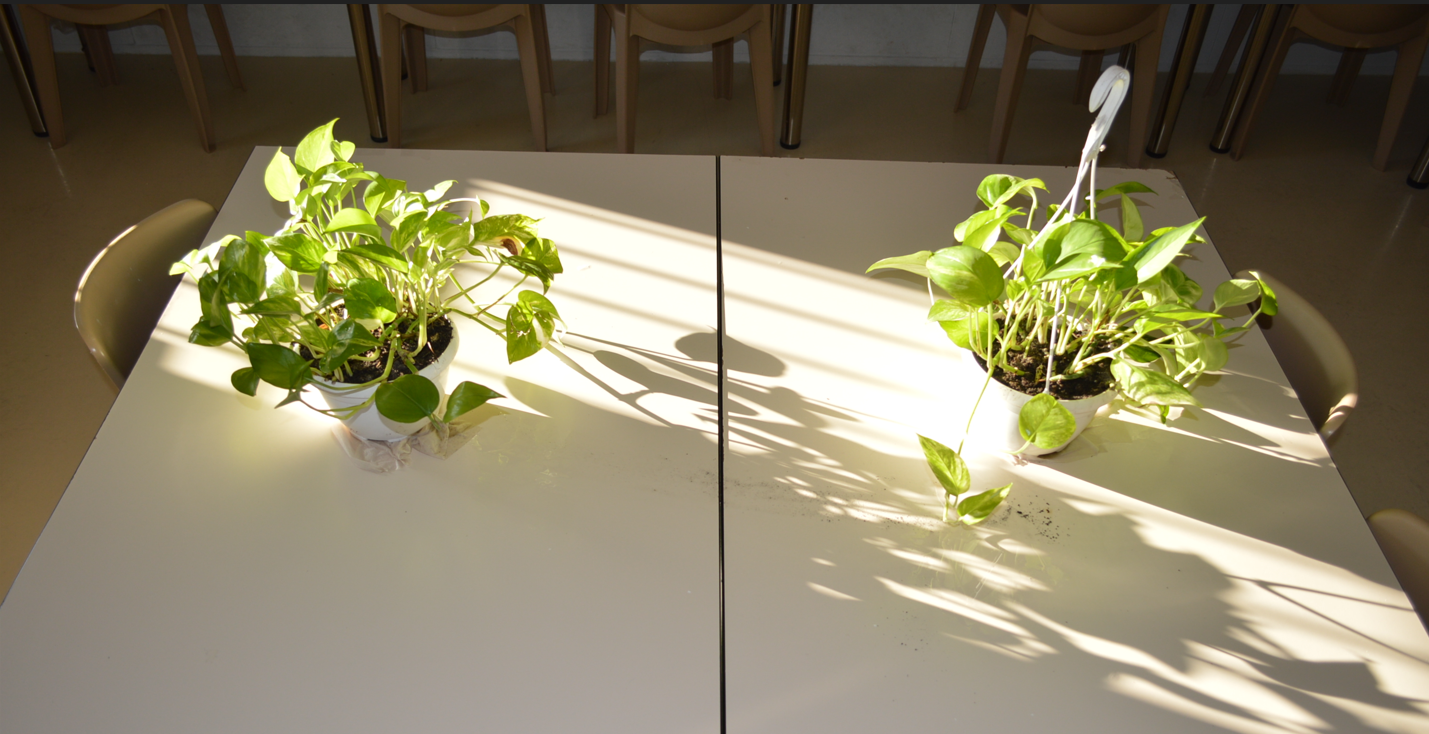 imatge_2024-11-20_142157258