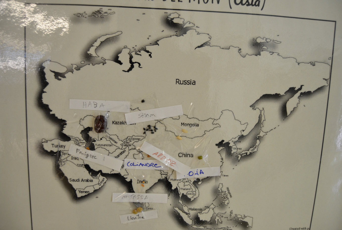 imatge_2024-11-20_143741312