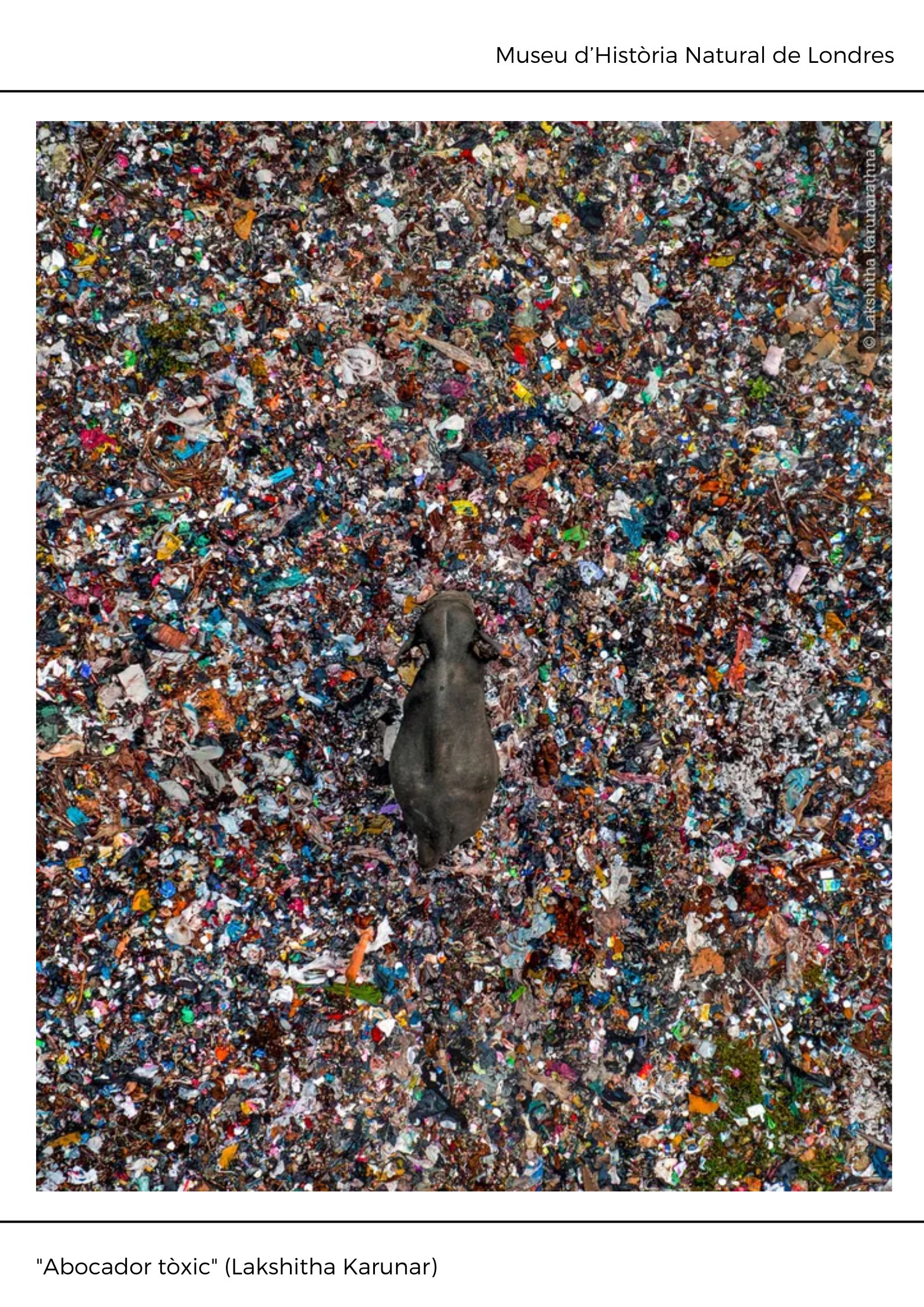 Black and White Abstract Modern Memphis Art Exhibition Poster (10)